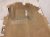 2011 Porsche Panamera Ground Driver Front Interior Floor Carpet Tan 970 551 012 06 7K0 Replacement 2011 Porsche Panamera Ground Driver Front Interior Floor Carpet Tan 970 551 012 06 7K0 Replacement thumbnail
