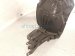 2017 Subaru WRX Front Passenger Inner Fender Liner 59110VA000 Replacement 2017 Subaru WRX Front Passenger Inner Fender Liner 59110VA000 Replacement thumbnail
