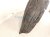 2017 Subaru WRX Front Passenger Inner Fender Liner 59110VA000 Replacement 2017 Subaru WRX Front Passenger Inner Fender Liner 59110VA000 Replacement thumbnail