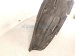2017 Subaru WRX Front Passenger Inner Fender Liner 59110VA000 Replacement 2017 Subaru WRX Front Passenger Inner Fender Liner 59110VA000 Replacement thumbnail