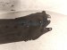 2017 Subaru WRX Rear Passenger Inner Fender Liner 59122VA000 Replacement 2017 Subaru WRX Rear Passenger Inner Fender Liner 59122VA000 Replacement thumbnail