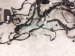 2025 Subaru Forester Engine Room Harness W/fuse 2.5l Awd 81402SL030 Replacement 2025 Subaru Forester Engine Room Harness W/fuse 2.5l Awd 81402SL030 Replacement thumbnail