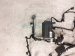 2025 Subaru Forester Engine Room Harness W/fuse 2.5l Awd 81402SL030 Replacement 2025 Subaru Forester Engine Room Harness W/fuse 2.5l Awd 81402SL030 Replacement thumbnail