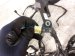 2025 Subaru Forester Engine Room Harness W/fuse 2.5l Awd 81402SL030 Replacement 2025 Subaru Forester Engine Room Harness W/fuse 2.5l Awd 81402SL030 Replacement thumbnail