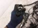 2024 Honda HR V Engine Room Harness W/fuse 2.0l Awd 32200 3W1 A00 Replacement 2024 Honda HR V Engine Room Harness W/fuse 2.0l Awd 32200 3W1 A00 Replacement thumbnail