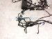 2025 Subaru Outback Legacy Engine Room Harness W/fuse 2.5l Awd 81403AN74A Replacement 2025 Subaru Outback Legacy Engine Room Harness W/fuse 2.5l Awd 81403AN74A Replacement thumbnail