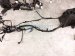 2025 Subaru Outback Legacy Engine Room Harness W/fuse 2.5l Awd 81403AN74A Replacement 2025 Subaru Outback Legacy Engine Room Harness W/fuse 2.5l Awd 81403AN74A Replacement thumbnail