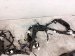 2025 Subaru Outback Legacy Engine Room Harness W/fuse 2.5l Awd 81403AN74A Replacement 2025 Subaru Outback Legacy Engine Room Harness W/fuse 2.5l Awd 81403AN74A Replacement thumbnail