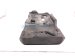 2025 Honda Civic Engine Appearance Cover Hybrid 12500 6MA J01 Replacement 2025 Honda Civic Engine Appearance Cover Hybrid 12500 6MA J01 Replacement thumbnail