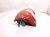 2017 Toyota Tundra Light / Rear Driver Tail Lamp (on Body) 81560 0C101 Replacement 2017 Toyota Tundra Light / Rear Driver Tail Lamp (on Body) 81560 0C101 Replacement thumbnail