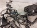 2021 Toyota Highlander Engine Room Wire Harness 2.5l Hyb* 82111 0EW90 Replacement 2021 Toyota Highlander Engine Room Wire Harness 2.5l Hyb* 82111 0EW90 Replacement thumbnail