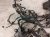 2021 Toyota Highlander Engine Room Wire Harness 2.5l Hyb* 82111 0EW90 Replacement 2021 Toyota Highlander Engine Room Wire Harness 2.5l Hyb* 82111 0EW90 Replacement thumbnail