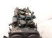 2018 Honda Accord Long Block Engine / Motor = 33k Mi 10002 6B2 A03 Replacement 2018 Honda Accord Long Block Engine / Motor = 33k Mi 10002 6B2 A03 Replacement thumbnail