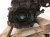 2018 Honda Accord Long Block Engine / Motor = 33k Mi 10002 6B2 A03 Replacement 2018 Honda Accord Long Block Engine / Motor = 33k Mi 10002 6B2 A03 Replacement thumbnail