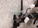 2024 Nissan Altima Main Engine Wire Harness 2.5l Fwd 24011 6CA5A Replacement 2024 Nissan Altima Main Engine Wire Harness 2.5l Fwd 24011 6CA5A Replacement thumbnail