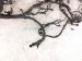 2024 Nissan Altima Main Engine Wire Harness 2.5l Fwd 24011 6CA5A Replacement 2024 Nissan Altima Main Engine Wire Harness 2.5l Fwd 24011 6CA5A Replacement thumbnail