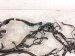 2024 Nissan Altima Main Engine Wire Harness 2.5l Fwd 24011 6CA5A Replacement 2024 Nissan Altima Main Engine Wire Harness 2.5l Fwd 24011 6CA5A Replacement thumbnail