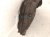 2020 Toyota Highlander Rear Driver Inner Fender Liner 65638 0E070 Replacement 2020 Toyota Highlander Rear Driver Inner Fender Liner 65638 0E070 Replacement thumbnail