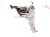 2017 Toyota Tundra Parking Brake Pedal Assy Driver 46200 0C020 Replacement 2017 Toyota Tundra Parking Brake Pedal Assy Driver 46200 0C020 Replacement thumbnail