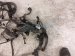 2020 Toyota Highlander Main Engine Wire Harness 3.5l Fwd 82121 0E340 Replacement 2020 Toyota Highlander Main Engine Wire Harness 3.5l Fwd 82121 0E340 Replacement thumbnail