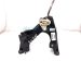 2021 Honda Civic M/t Floor Shifter Assy 54100 TGH G01 Replacement 2021 Honda Civic M/t Floor Shifter Assy 54100 TGH G01 Replacement thumbnail