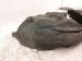 2021 Honda CR V Rear Passenger Inner Fender Liner Hybrid 74550 TLA A50 Replacement 2021 Honda CR V Rear Passenger Inner Fender Liner Hybrid 74550 TLA A50 Replacement thumbnail