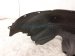 2021 Lexus Is300 Rear Passenger Inner Fender Liner 65637 53050 Replacement 2021 Lexus Is300 Rear Passenger Inner Fender Liner 65637 53050 Replacement thumbnail