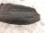 2025 Honda Civic Rear Passenger Inner Fender Liner Sport Sdn 74552 T20 A20 Replacement 2025 Honda Civic Rear Passenger Inner Fender Liner Sport Sdn 74552 T20 A20 Replacement thumbnail