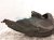 2021 Toyota Rav 4 Rear Driver Inner Fender Liner 65638 0R020 Replacement 2021 Toyota Rav 4 Rear Driver Inner Fender Liner 65638 0R020 Replacement thumbnail
