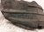 2021 Toyota Rav 4 Rear Driver Inner Fender Liner 65638 0R020 Replacement 2021 Toyota Rav 4 Rear Driver Inner Fender Liner 65638 0R020 Replacement thumbnail