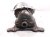 2025 Honda Civic Manifold Exhaust Converter 2.0l Hybrid 18150 6MD A00 Replacement 2025 Honda Civic Manifold Exhaust Converter 2.0l Hybrid 18150 6MD A00 Replacement thumbnail