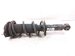 2017 Subaru WRX Rear Driver Strut Shock + Spring 20365VA030 Replacement 2017 Subaru WRX Rear Driver Strut Shock + Spring 20365VA030 Replacement thumbnail