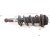 2017 Subaru WRX Rear Driver Strut Shock + Spring 20365VA030 Replacement 2017 Subaru WRX Rear Driver Strut Shock + Spring 20365VA030 Replacement thumbnail