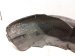 2002 Lexus Sc430 Rear Passenger Inner Fender Liner 65637 24020 Replacement 2002 Lexus Sc430 Rear Passenger Inner Fender Liner 65637 24020 Replacement thumbnail