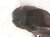 2002 Lexus Sc430 Rear Passenger Inner Fender Liner 65637 24020 Replacement 2002 Lexus Sc430 Rear Passenger Inner Fender Liner 65637 24020 Replacement thumbnail