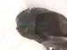 2002 Lexus Sc430 Rear Passenger Inner Fender Liner 65637 24020 Replacement 2002 Lexus Sc430 Rear Passenger Inner Fender Liner 65637 24020 Replacement thumbnail