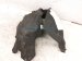 2023 Toyota Sienna Front Passenger Inner Fender Liner 53805 08062 Replacement 2023 Toyota Sienna Front Passenger Inner Fender Liner 53805 08062 Replacement thumbnail