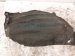 2021 Toyota Rav 4 Front Driver Inner Fender Liner 53876 0R080 Replacement 2021 Toyota Rav 4 Front Driver Inner Fender Liner 53876 0R080 Replacement thumbnail