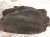 2021 Toyota Rav 4 Front Driver Inner Fender Liner 53876 0R080 Replacement 2021 Toyota Rav 4 Front Driver Inner Fender Liner 53876 0R080 Replacement thumbnail