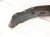 2014 Honda Accord Front Passenger Inner Fender Liner 74100 T2A A00 Replacement 2014 Honda Accord Front Passenger Inner Fender Liner 74100 T2A A00 Replacement thumbnail