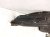 2014 Honda Accord Front Driver Inner Fender Liner 74150 T2A A00 Replacement 2014 Honda Accord Front Driver Inner Fender Liner 74150 T2A A00 Replacement thumbnail