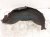 2023 Nissan Murano Rear Passenger Inner Fender Liner 76748 9UA0A Replacement 2023 Nissan Murano Rear Passenger Inner Fender Liner 76748 9UA0A Replacement thumbnail