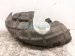 2025 Nissan Kicks Rear Driver Inner Fender Liner 76749 7LG0A Replacement 2025 Nissan Kicks Rear Driver Inner Fender Liner 76749 7LG0A Replacement thumbnail