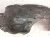 2025 Honda Civic Front Passenger Inner Fender Liner Hybrid 74100 T56 A00 Replacement 2025 Honda Civic Front Passenger Inner Fender Liner Hybrid 74100 T56 A00 Replacement thumbnail