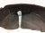 2018 Honda Accord Rear Passenger Inner Fender Liner 74541 TVA A00 Replacement 2018 Honda Accord Rear Passenger Inner Fender Liner 74541 TVA A00 Replacement thumbnail