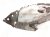 2020 Infiniti Qx60 Front Passenger Inner Fender Liner 663840 9NB0A Replacement 2020 Infiniti Qx60 Front Passenger Inner Fender Liner 663840 9NB0A Replacement thumbnail