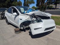 Tesla FR/RH INTERIOR DOOR PANEL - BLACK Tesla FR/RH INTERIOR DOOR PANEL - BLACK